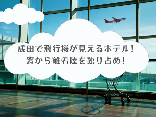 飛行機が見えるホテル 羽田